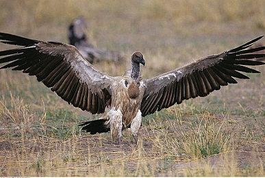 《心灵杀手》开发商Remedy注册新商标 或为《控制》世界观多人游戏